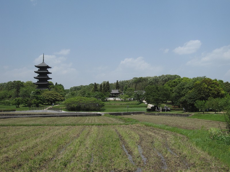 d0031853_326270.jpg