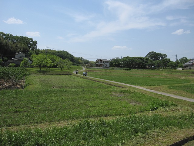 d0031853_3374884.jpg