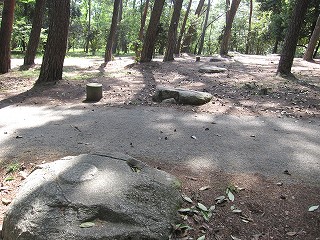 d0031853_3494282.jpg
