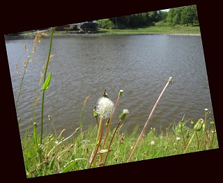 d0031853_3544697.jpg