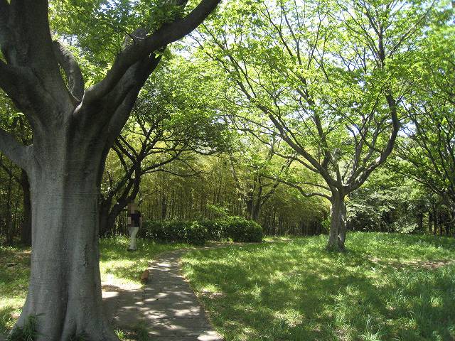 f0176354_228252.jpg