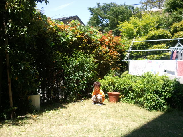 a0134562_117269.jpg