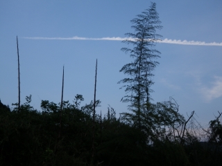 f0055264_23171893.jpg