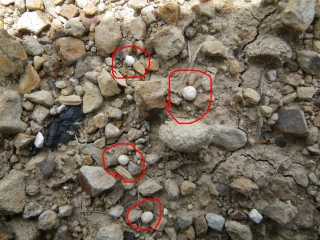 f0055264_2325329.jpg