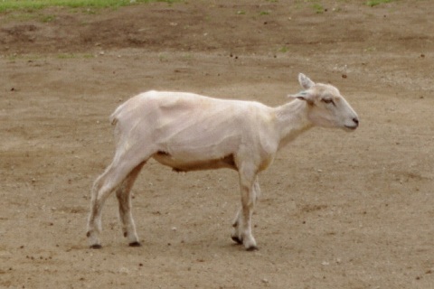 e0045768_2273290.jpg