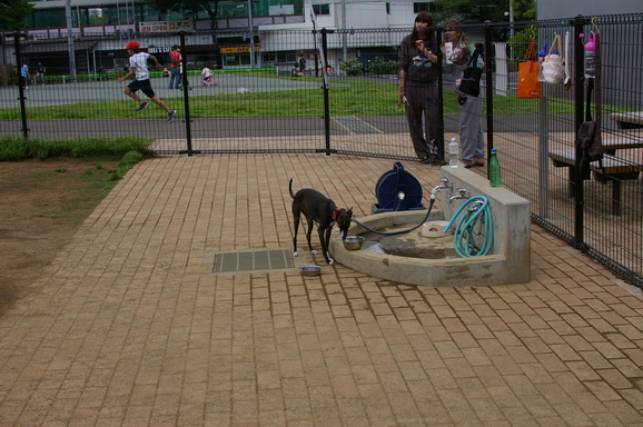d0228072_15214946.jpg