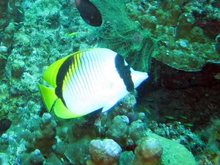 a0002177_10471849.jpg