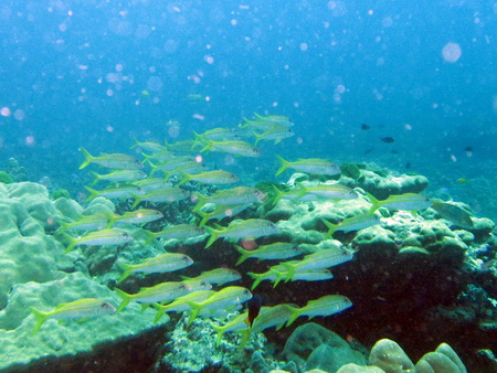 a0002177_11163594.jpg
