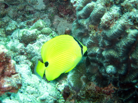 a0002177_11174095.jpg
