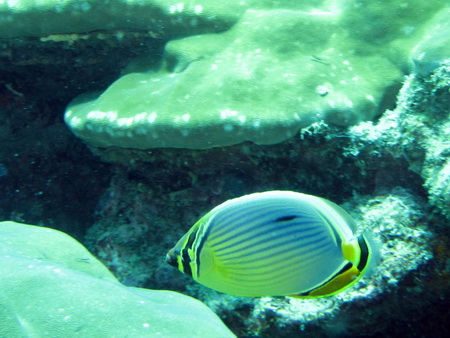 a0002177_1117598.jpg