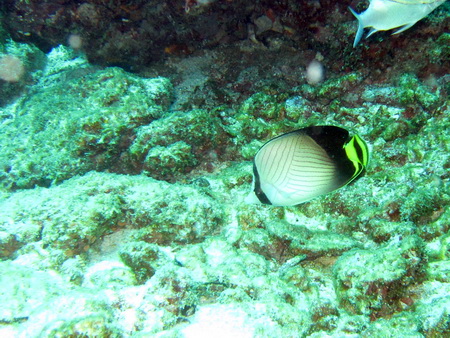 a0002177_11182193.jpg