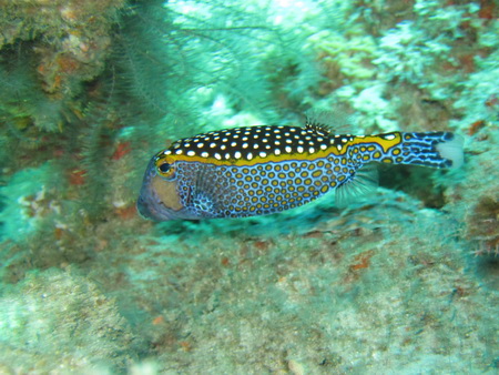 a0002177_1119356.jpg