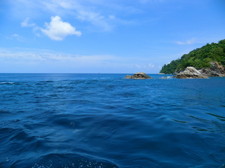 a0002177_1123984.jpg