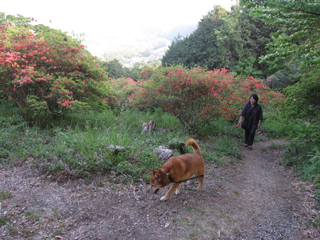 b0032079_7164410.jpg