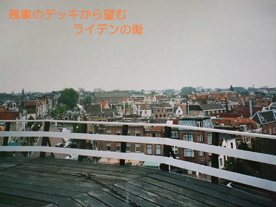 f0039281_20433699.jpg