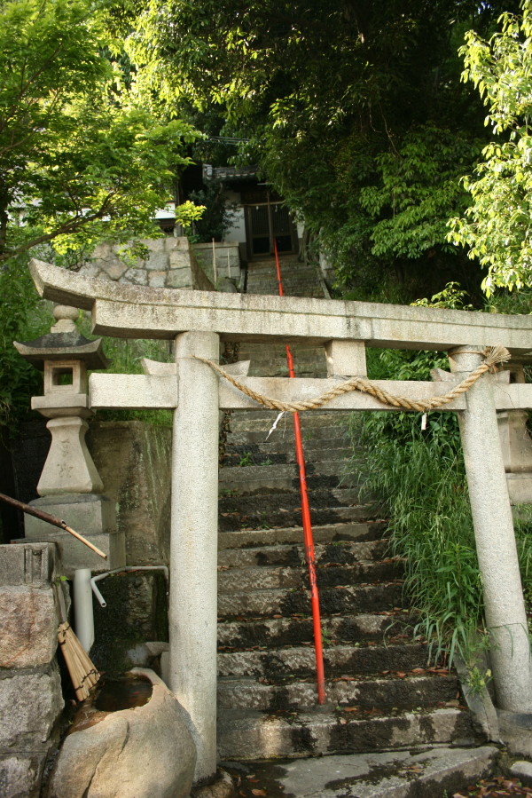 b0118987_931941.jpg