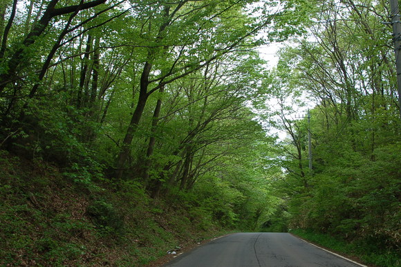 b0203588_9463361.jpg