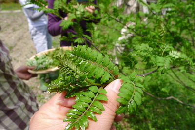 b0226089_10242728.jpg
