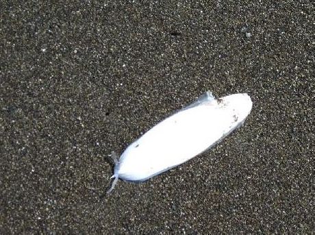 e0143690_1816785.jpg