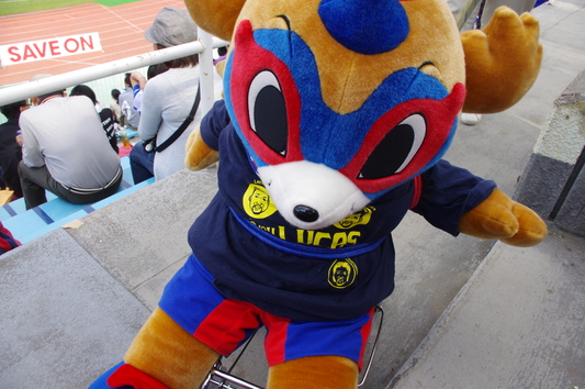 c0068891_014879.jpg