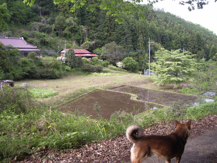 e0185092_20235337.jpg