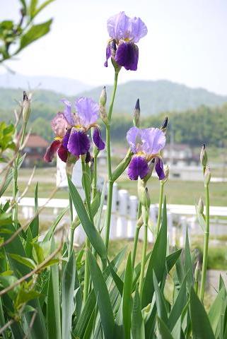 f0222692_1837248.jpg