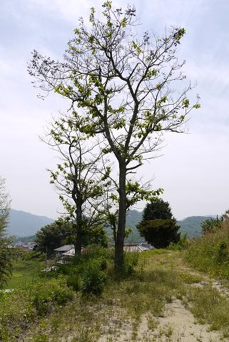 f0222692_18375285.jpg