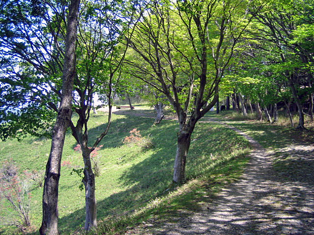 b0108100_20211290.jpg