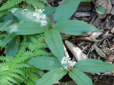 e0033301_2149611.jpg