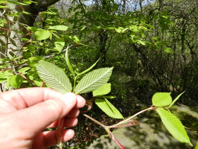 e0033301_21512093.jpg