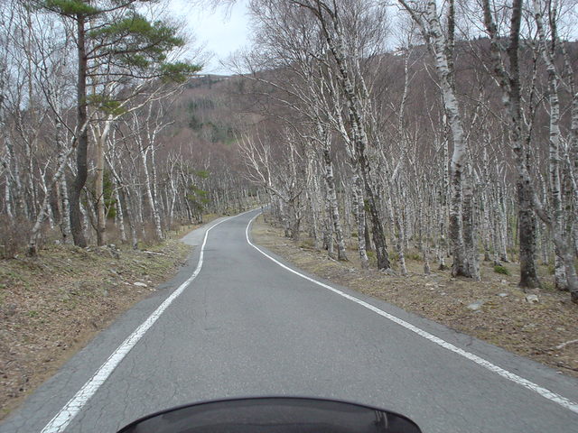 a0116205_22153462.jpg