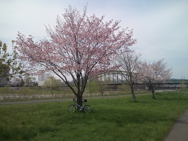 d0160307_1822831.jpg