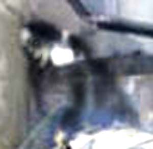 e0103408_17182592.jpg