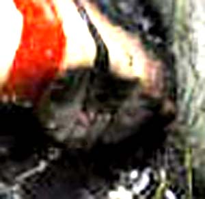 e0103408_17315142.jpg