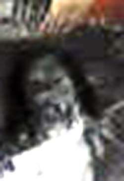 e0103408_17322082.jpg