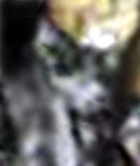 e0103408_17322897.jpg