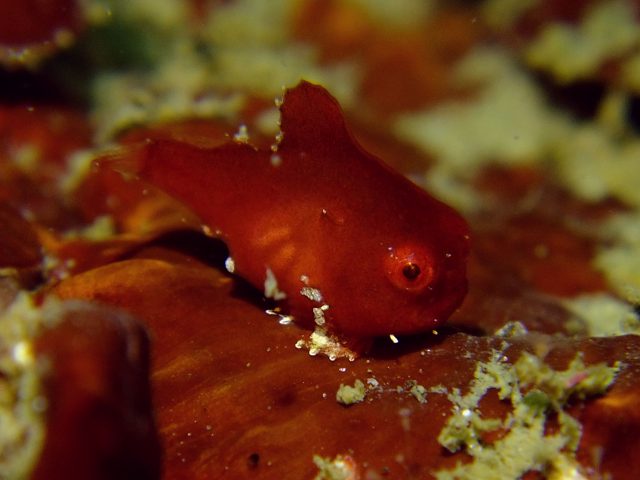 d0175710_2328188.jpg