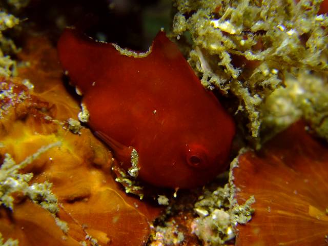 d0175710_2328295.jpg