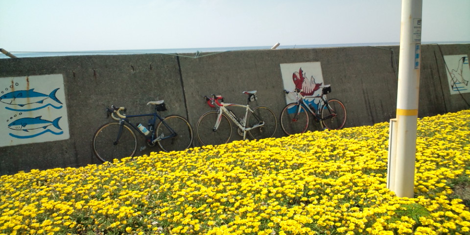 f0219810_2224020.jpg