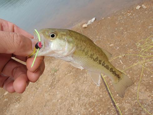 c0149214_2122519.jpg
