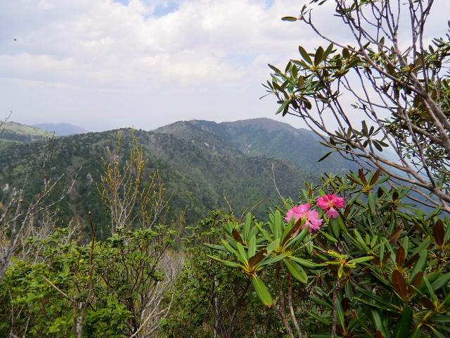 d0170615_16424478.jpg
