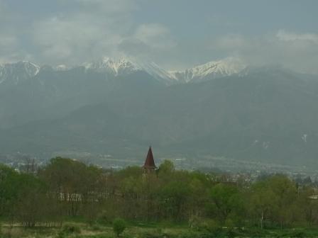 d0162516_06047.jpg