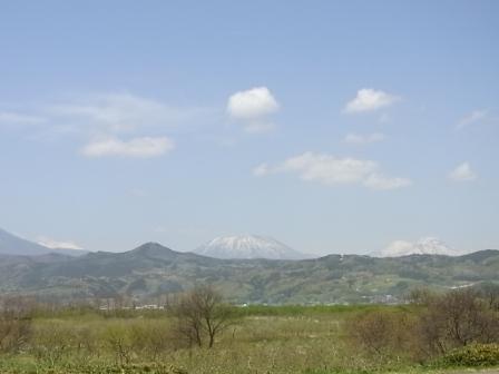 d0162516_064459.jpg