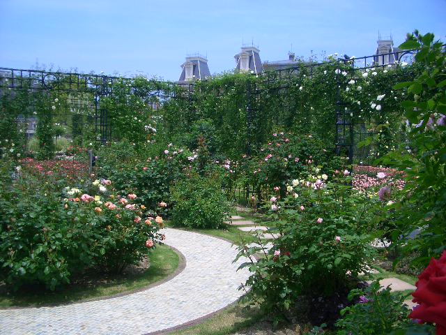 d0169618_20301424.jpg