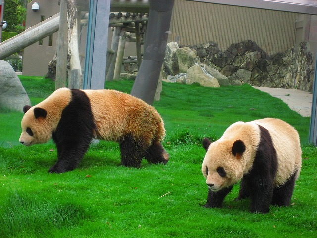 d0170119_9361167.jpg