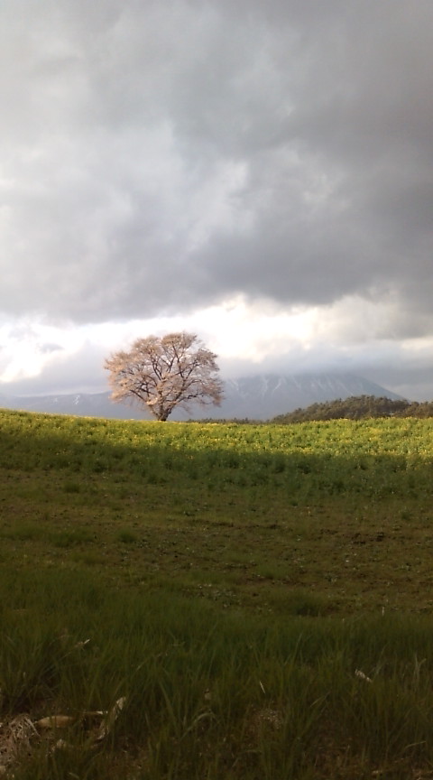f0019520_18354317.jpg