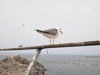 d0068023_23113772.jpg