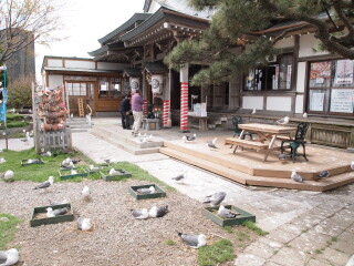 d0068023_2391543.jpg