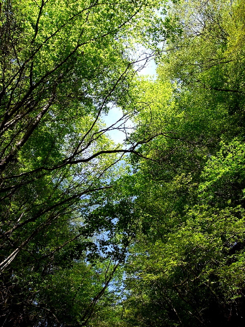 f0103126_20564495.jpg