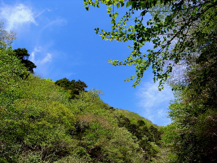 f0103126_2101154.jpg